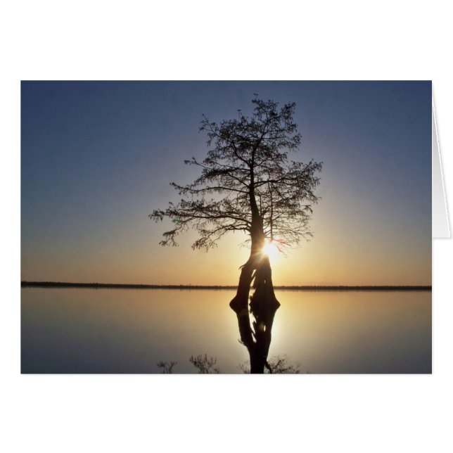 Coucher de soleil derrière un arbre (Devant horizontal)