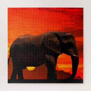 Coucher de soleil du Puzzle des éléphants