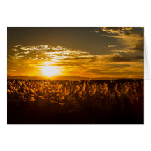 Coucher de soleil en Afrique du Sud