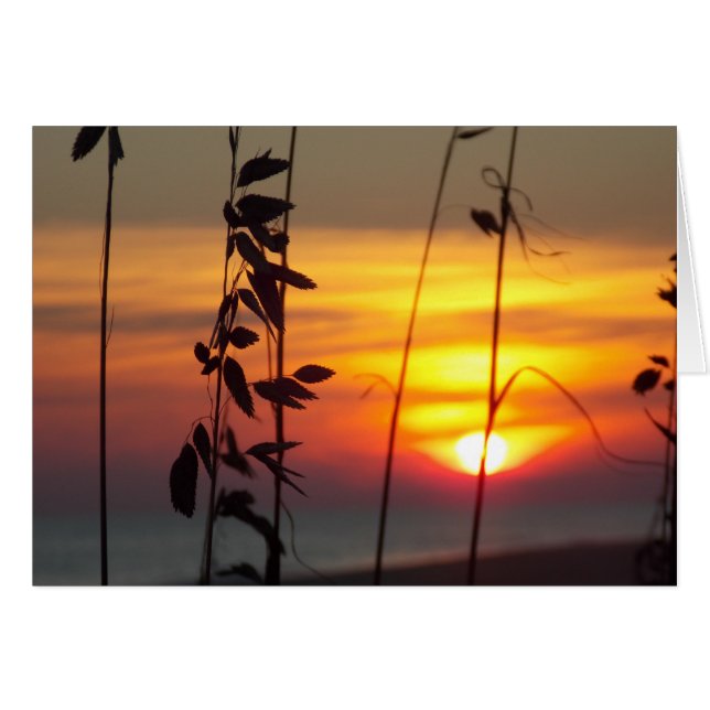 Coucher de soleil en hiver (Devant horizontal)