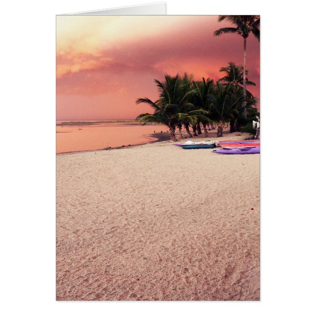 coucher de soleil gambien (Devant)