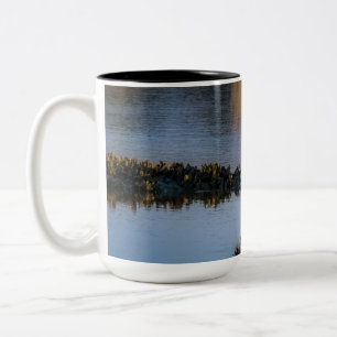 Coucher de soleil Gaze 11 oz ou Mug 15 oz
