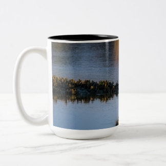 Coucher de soleil Gaze 11 oz ou Mug 15 oz