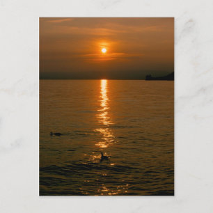 Coucher de soleil Montreux Carte postale