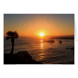Coucher de soleil sur la côte ouest