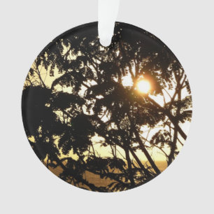 Coucher du soleil à travers les arbres I Photograp