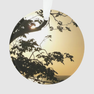 Coucher du soleil à travers les arbres II Photogra