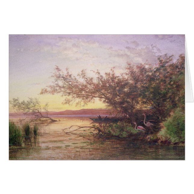 Coucher du soleil, Camargue (Devant horizontal)