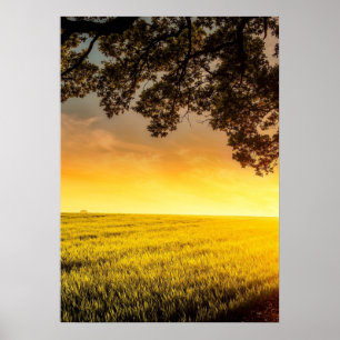 Coucher du soleil dans un paysage rural affiche