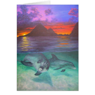 coucher du soleil de dauphin