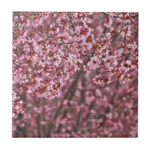 Couches de Carreaux de fleurs de cerisier japonais