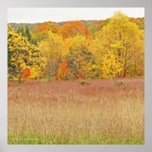 "COUCHES DE COULEUR/FEUILLES DE TOMBÉE" impression