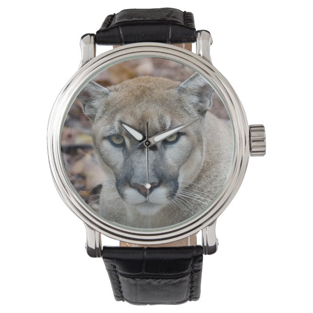 Cougar, Berglöwe, Panther Florida, Puma Armbanduhr (Vorderseite)