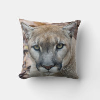 Cougar, Berglöwe, Panther Florida, Puma