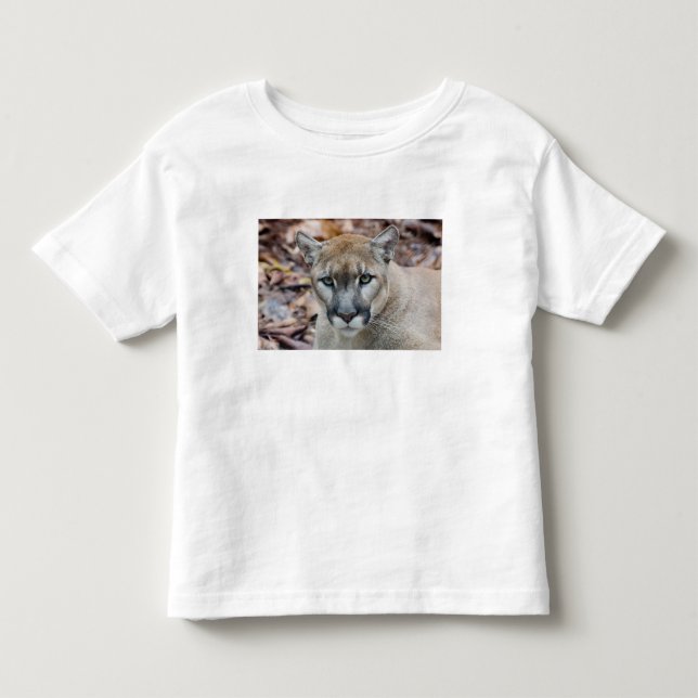 Cougar, Berglöwe, Panther Florida, Puma Kleinkind T-shirt (Vorderseite)