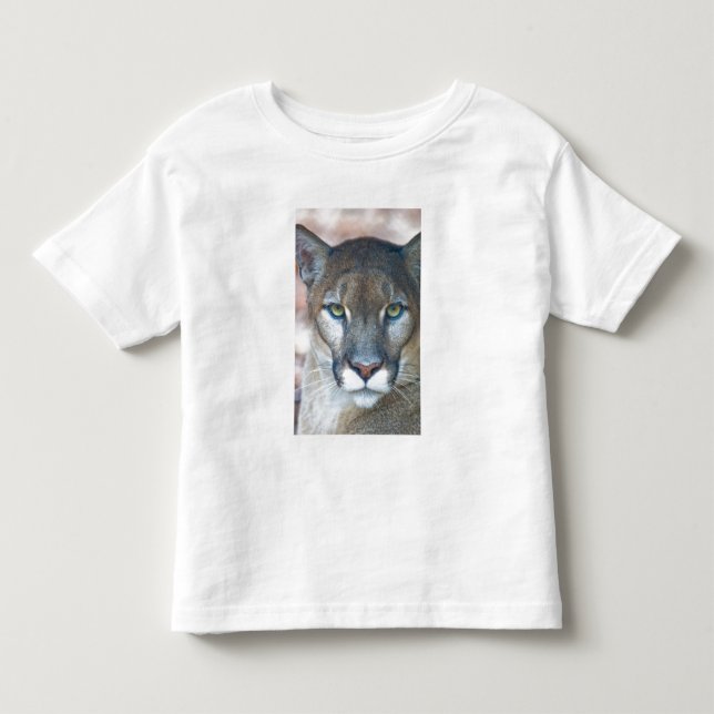 Cougar, Berglöwe, Panther Florida, Puma Kleinkind T-shirt (Vorderseite)