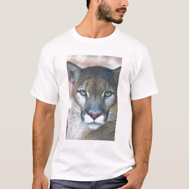 Cougar, Berglöwe, Panther Florida, Puma T-Shirt (Vorderseite)