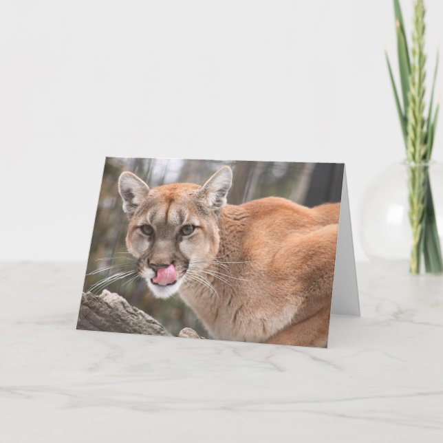 Cougar Big Cat Notecard Karte (Vorderseite)