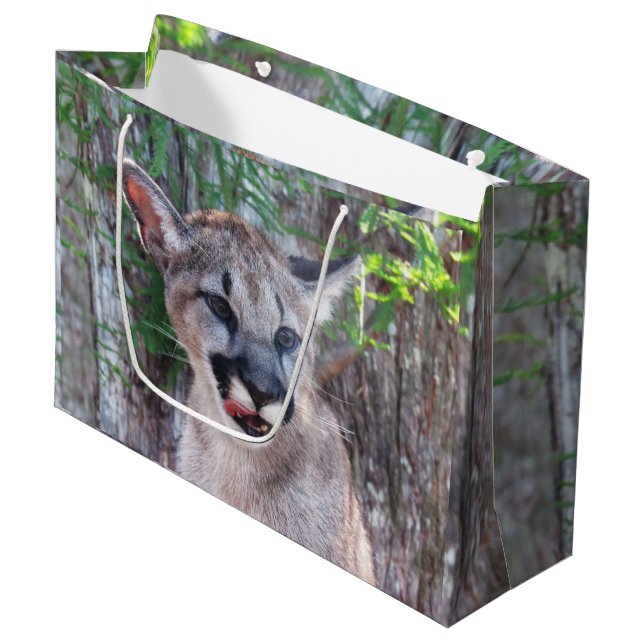 Cougar Cub Große Geschenktasche Geschenktüte (Vorderseite Schrägansicht)