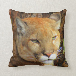 Cougar / Florida Panther / Mountain Lion - Kissen
