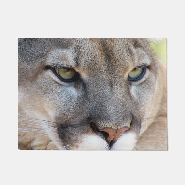 Cougar / Florida Panther / Puma - Tapis de porte (Devant)