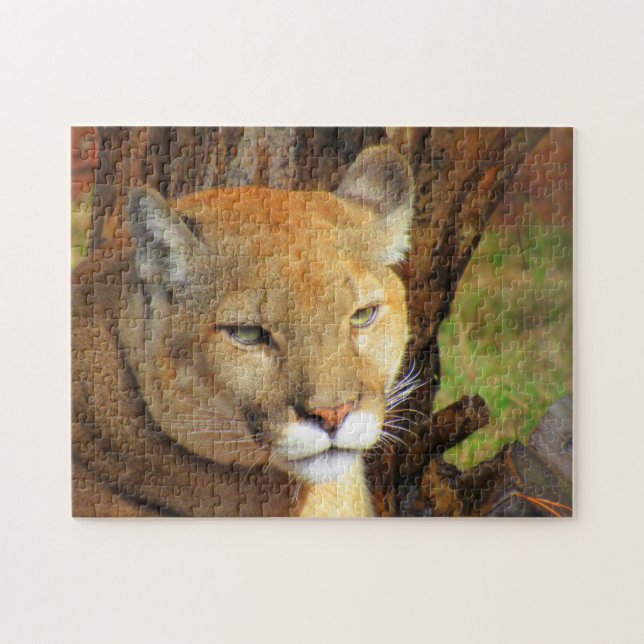 Cougar - Floride Panther Puzzle (Horizontal)