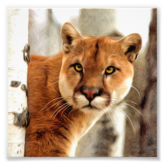 Cougar-Foto-Malerei Fotodruck (Vorne)