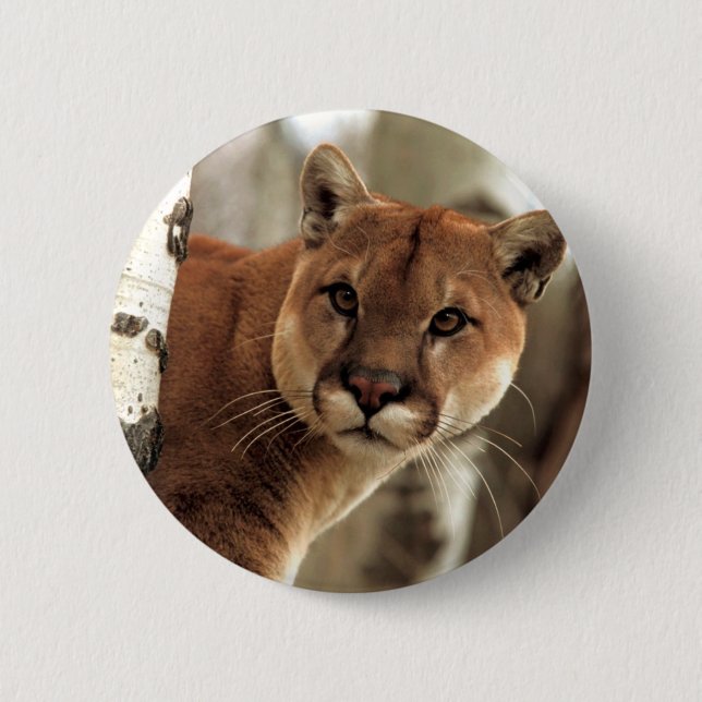 Cougar Fotograf Button (Vorderseite)