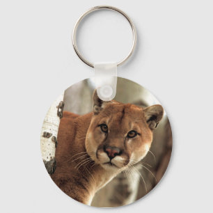 Cougar Fotograf Schlüsselanhänger