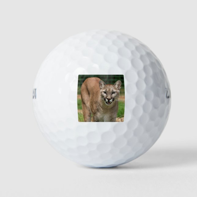Cougar Golfball (Vorderseite)
