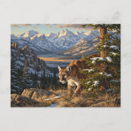 Cougar in Rocky Mountain National Park Travel Postkarte