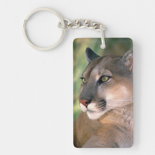 Cougar, Kalifornien Schlüsselanhänger (Vorderseite)
