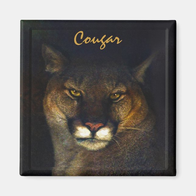 Cougar Mountain Lion Big Cat Art Designer Magnet (Vorne)