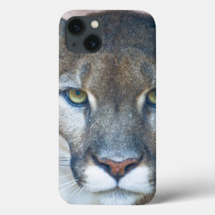 Cougar, mountain lion, Florida panther, Puma 2 Case-Mate iPhone Hülle