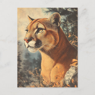 Cougar Mountain Lion Portrait Postkarte