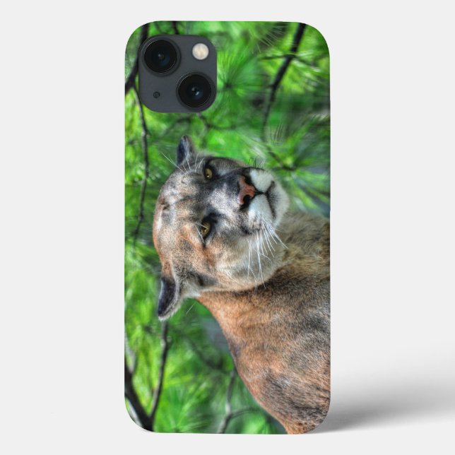 Cougar Mountain Lion & Summer Pines Case-Mate iPhone Hülle (Rückseite)