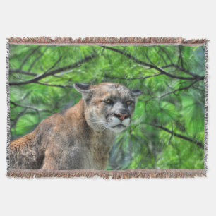Cougar Mountain Lion & Summer Pines Naturerlebnis Decke