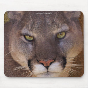 COUGAR Mountain Lion Wildlife Mousepad