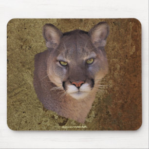 COUGAR Mountain Lion Wildlife Mousepad