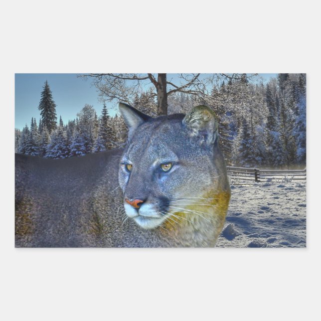 Cougar Mountain Lion & Winter Tree Bilder der Wild Rechteckiger Aufkleber (Vorderseite)