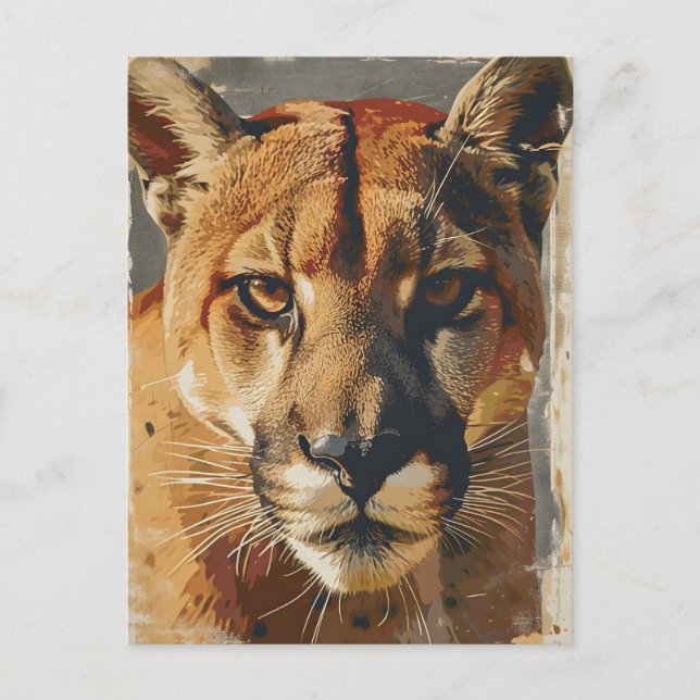 Cougar Mountain Löwe Vintag Postkarte (Vorderseite)