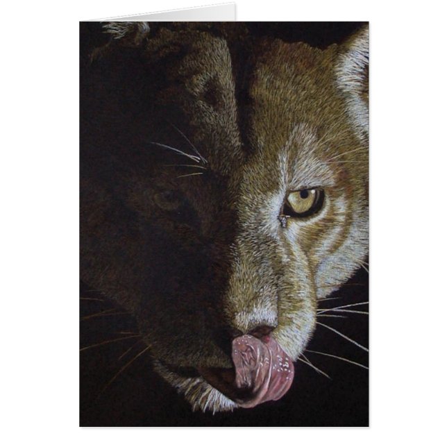 Cougar Night (Vorne)