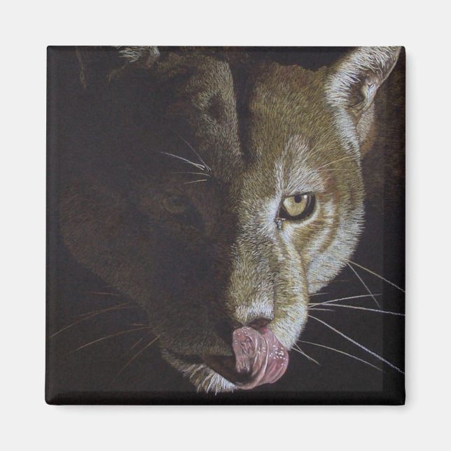 Cougar Night Magnet (Vorne)