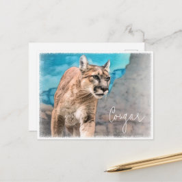 Cougar Postkarte