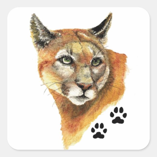 Cougar, Puma, Mountain Lion Animal Tracks Quadratischer Aufkleber (Vorderseite)