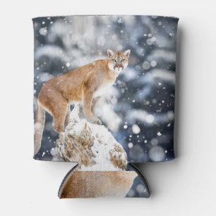 Cougar Winter Mountains Wildlife Portrait Dosenkühler
