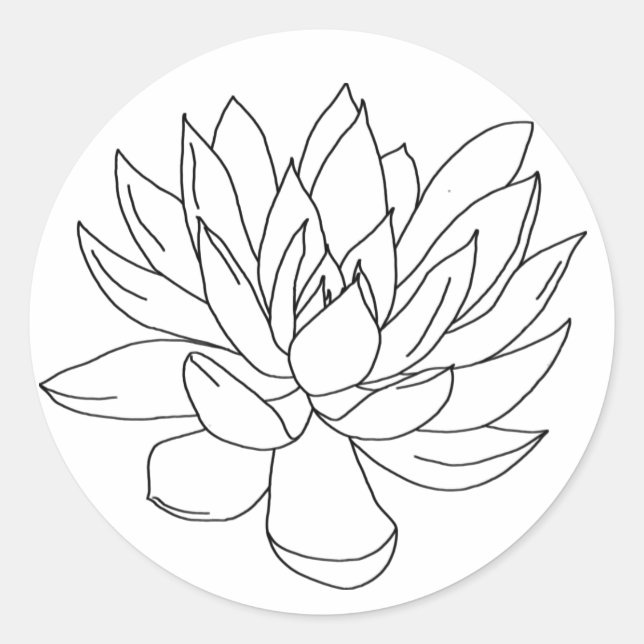 couleur dans vos autocollants - succulents (Devant)