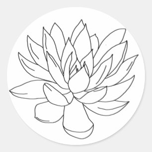 couleur dans vos propres autocollants - succulents
