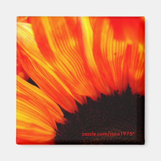Couleur de feu magnet (Vorne)