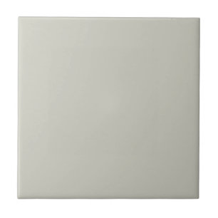 Couleur tendance - Carreaux en céramique gris clai